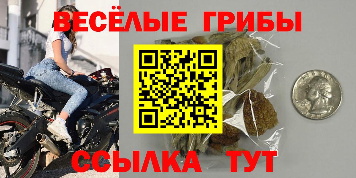 Псилоцибиновые грибы Cubensis Нарткала