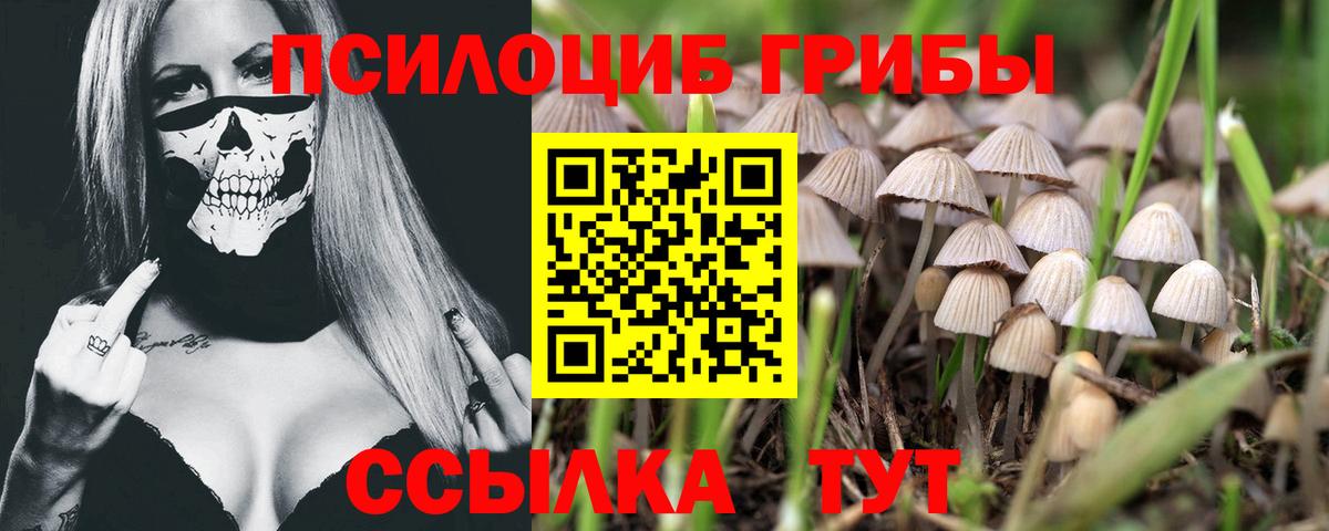 Псилоцибиновые грибы Psilocybine cubensis  Вход с VPN  Галлюциногенные грибы мухоморы  Нарткала 